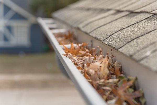 Leaf Barrier Installation in Laurel